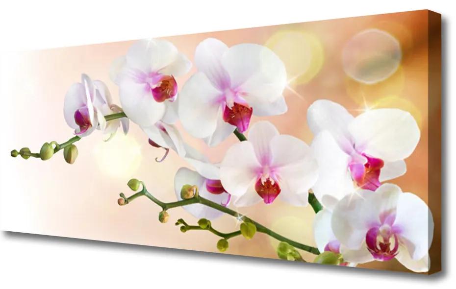 Tablou pe panza canvas Flori Floral Alb Roz