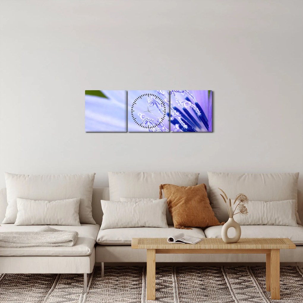 Tablou - Floare (cu ceas) (90x30 cm)