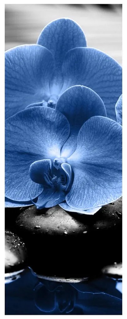 Fotojaluzele R015465R57150 (57x150 cm)