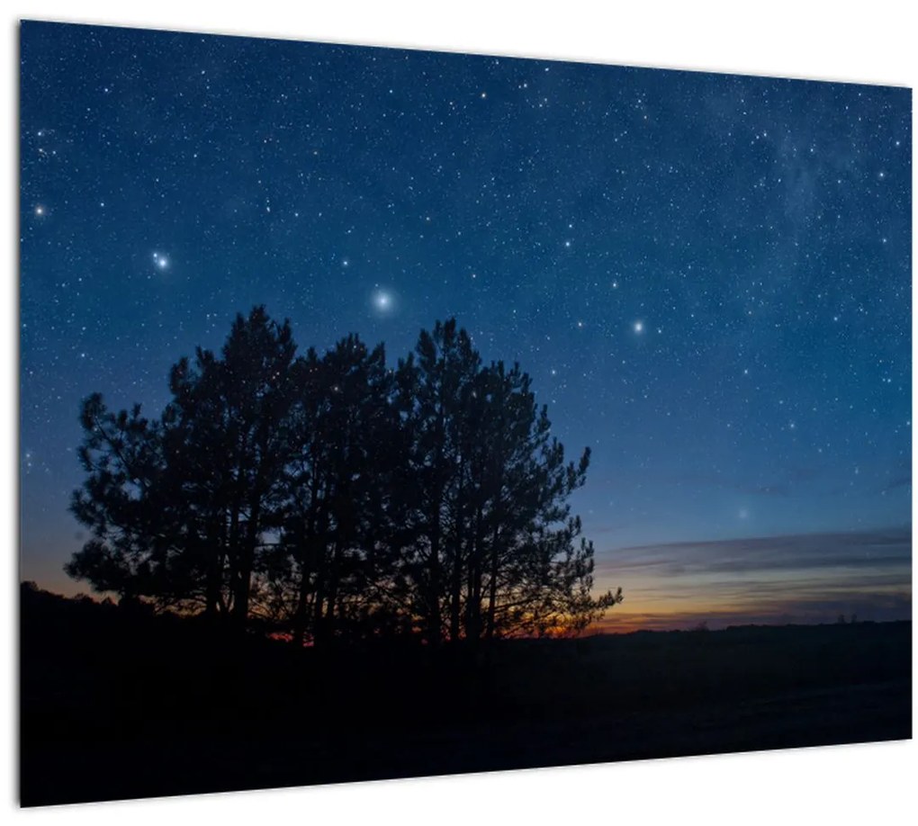 Tablou cu copaci noapte (70x50 cm)