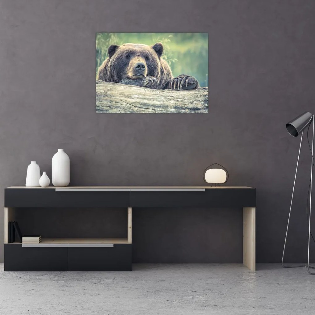Tablou pe sticlă cu urs (70x50 cm)