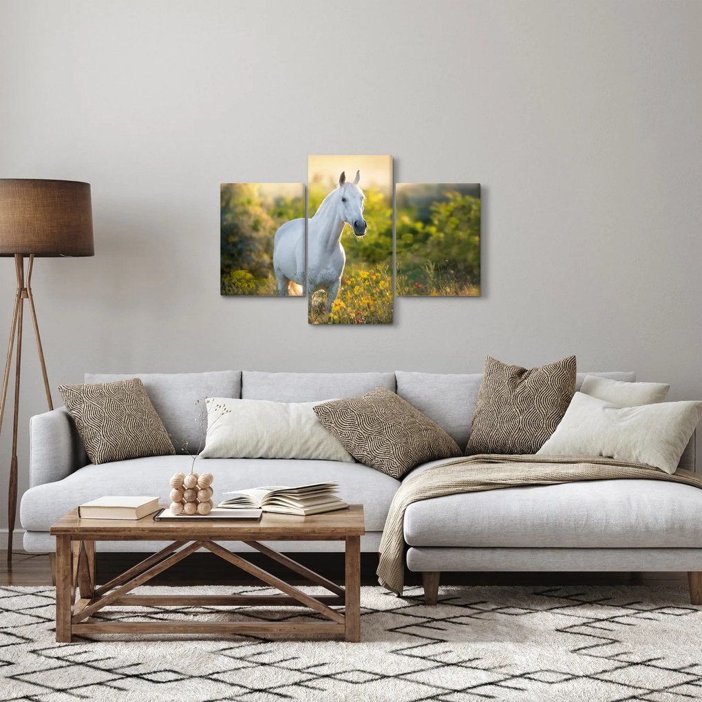 Tablou - Cal alb în poină (90x60 cm)