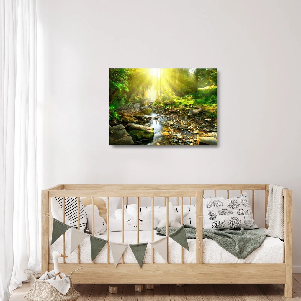 Tablou pe sticlă cu râul în pădurea verde (70x50 cm)