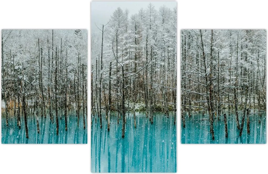 Tablou - Pescărie turcoaz, Biei, Japonia (90x60 cm)