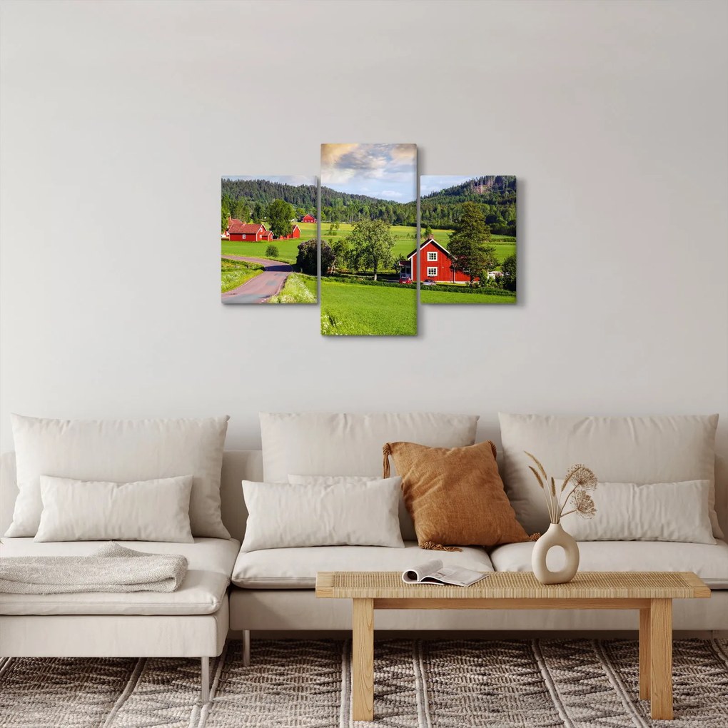 Tabloul cu țară (90x60 cm)