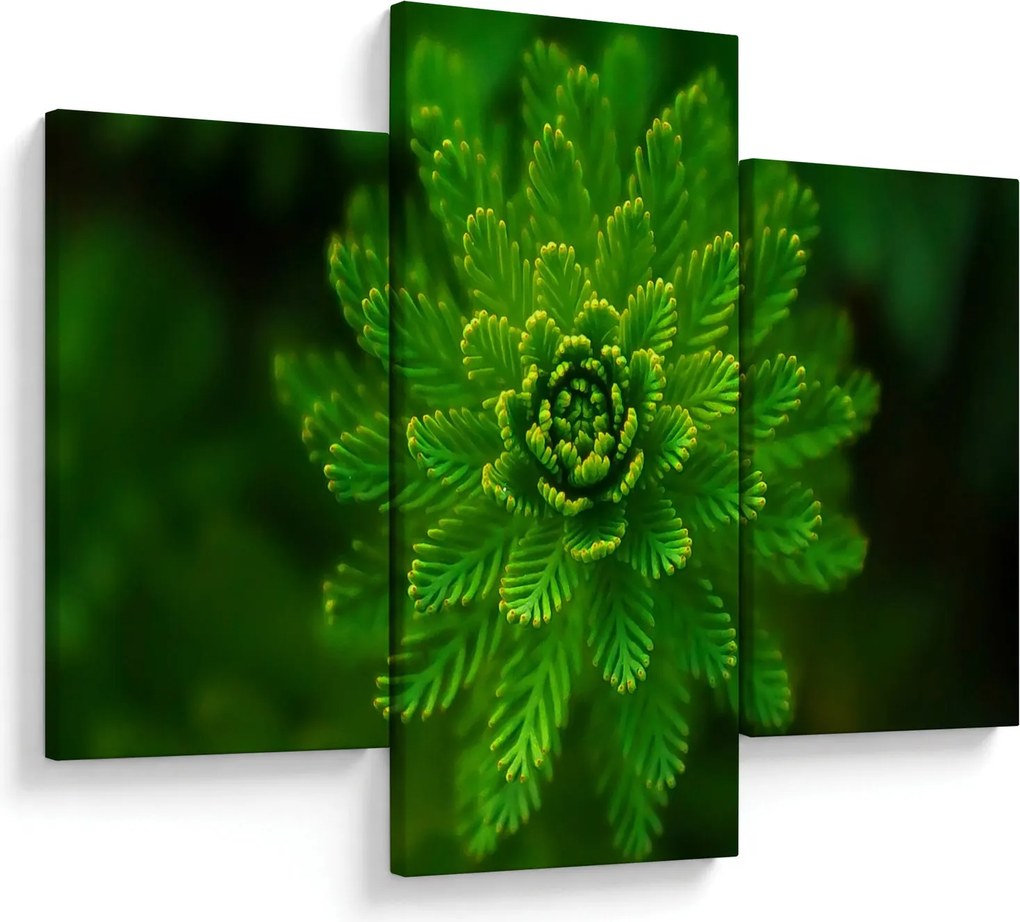 Tablou cu coniferi (90x60 cm)