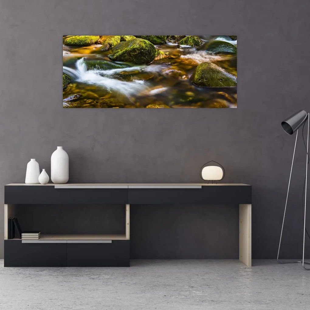Tablou cu părâu (120x50 cm)