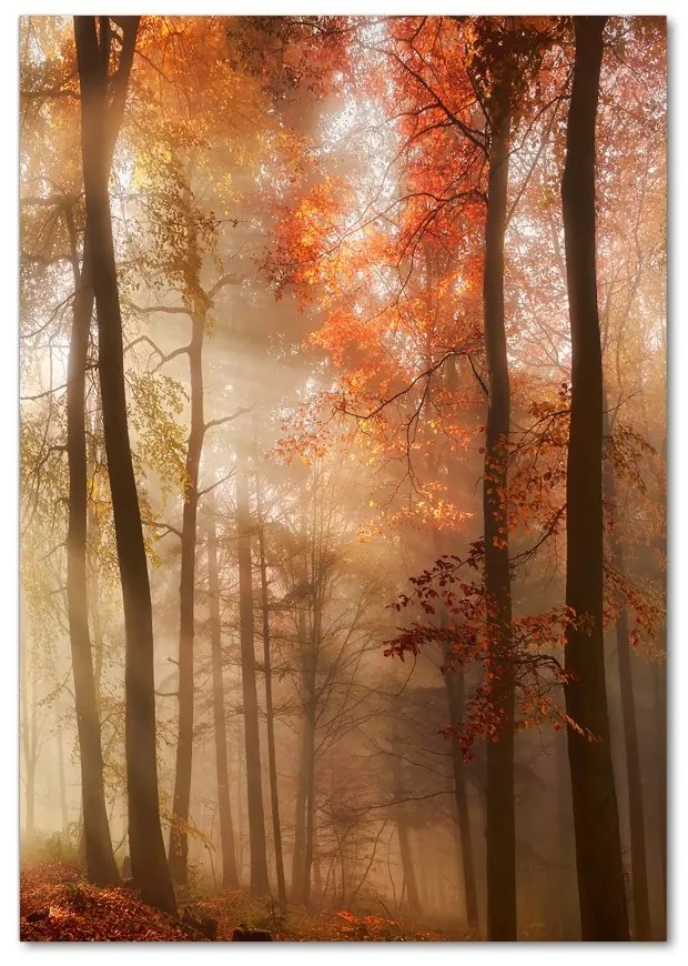 Fotografie imprimată pe sticlă pădure în toamna