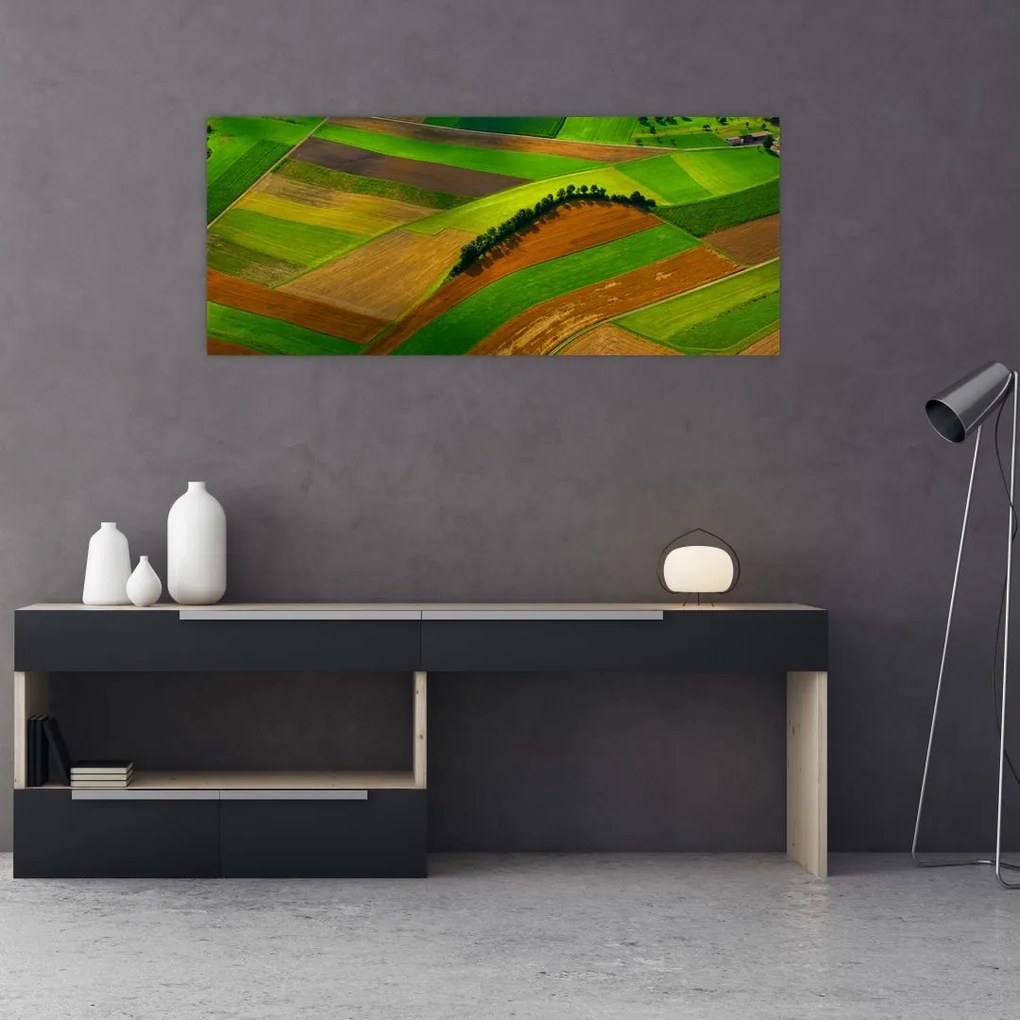 Tablou - Lan, luncile (120x50 cm)