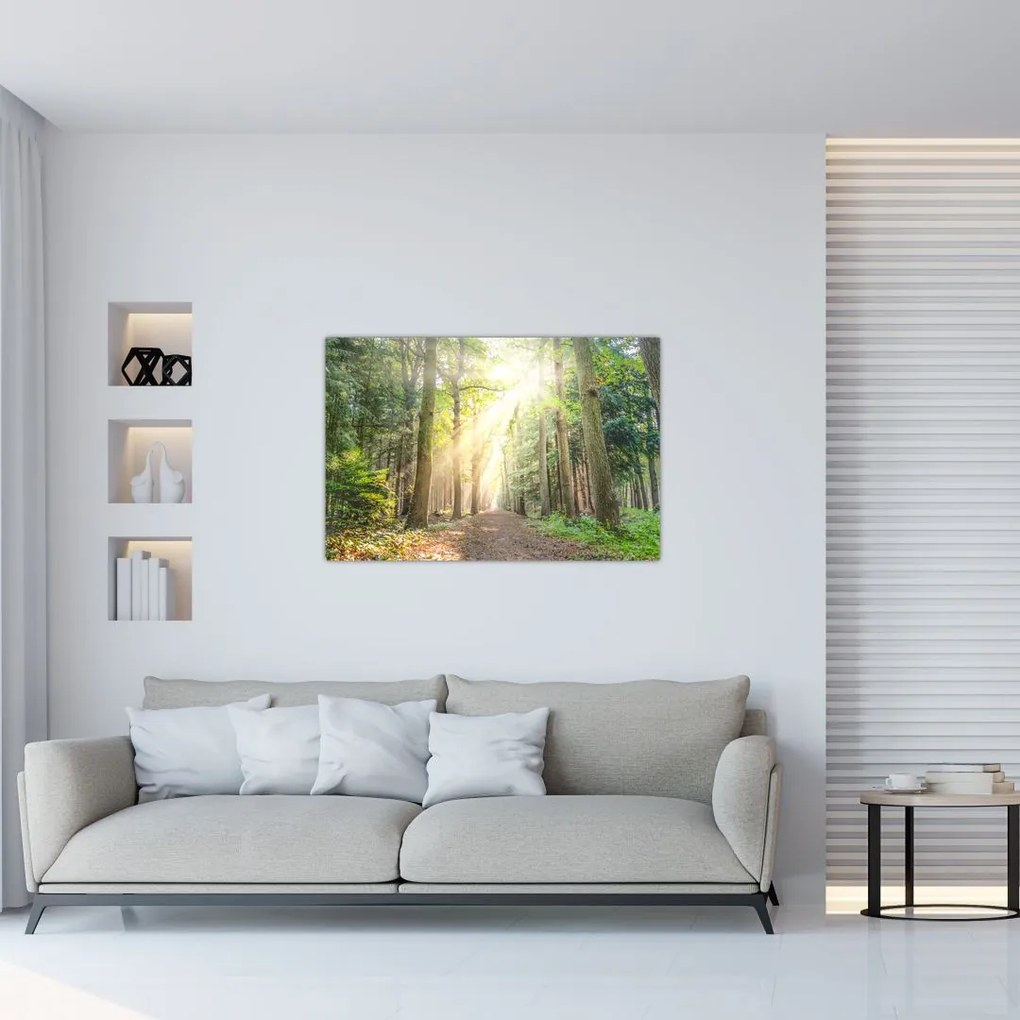 Tablou - Poteci în pădure (90x60 cm)