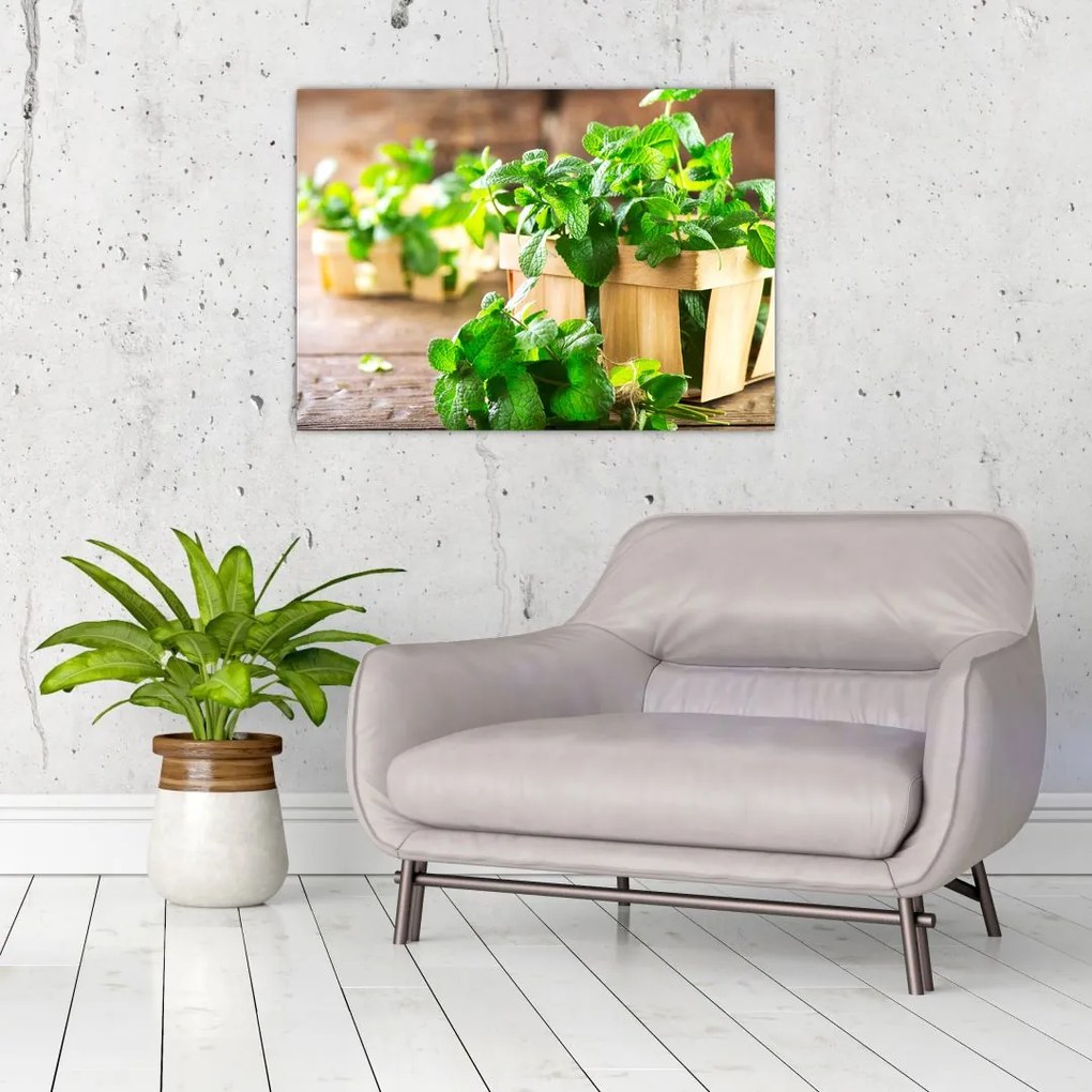 Tablou pe sticlă cu menta proaspătă (70x50 cm)