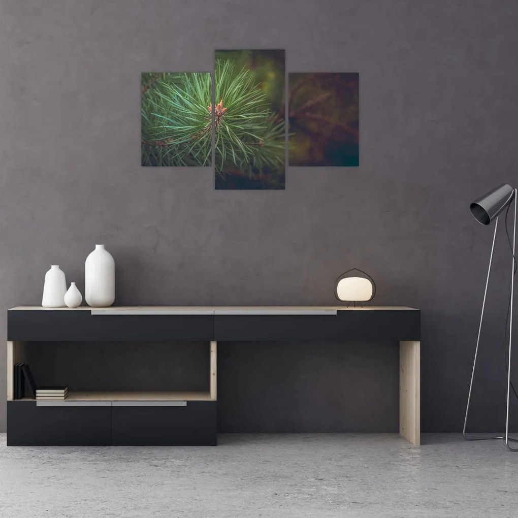 Tablou - Pin (90x60 cm)