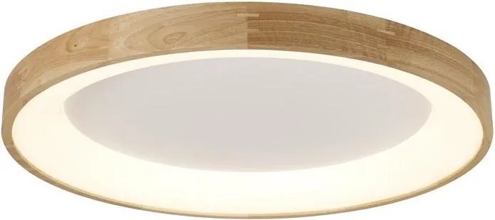 Azzardo AZ2698 - Plafonieră LED SILVAM LED/50W/230V