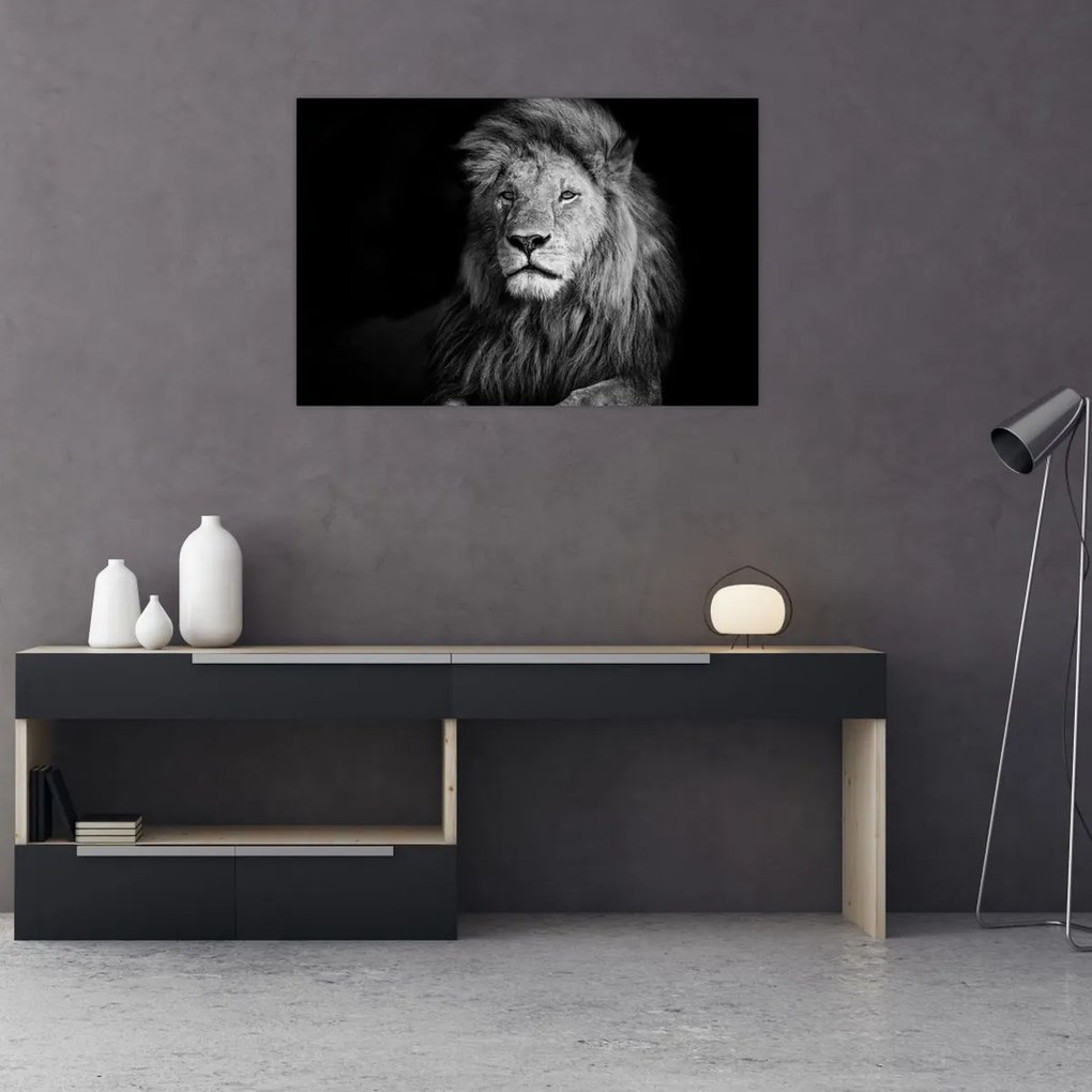 Tablou - Leu, alb și negru (90x60 cm)