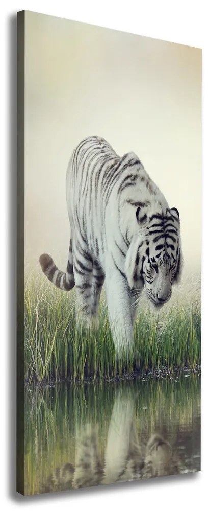 Print pe pânză Tigru alb