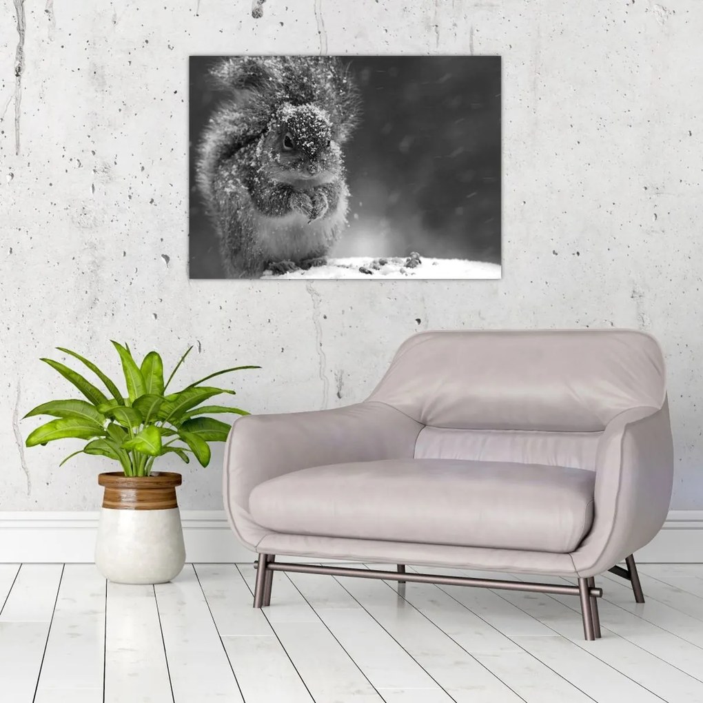 Tablou pe sticlă - Veveriță în timpul iernii (70x50 cm)