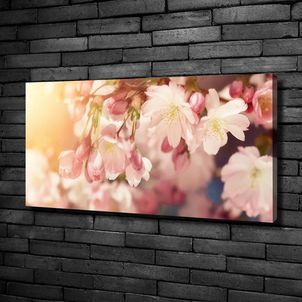 Print pe canvas Flori de cireș