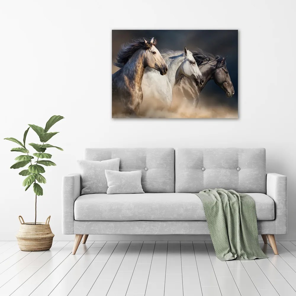 Imprimare tablou canvas Galopantă cai