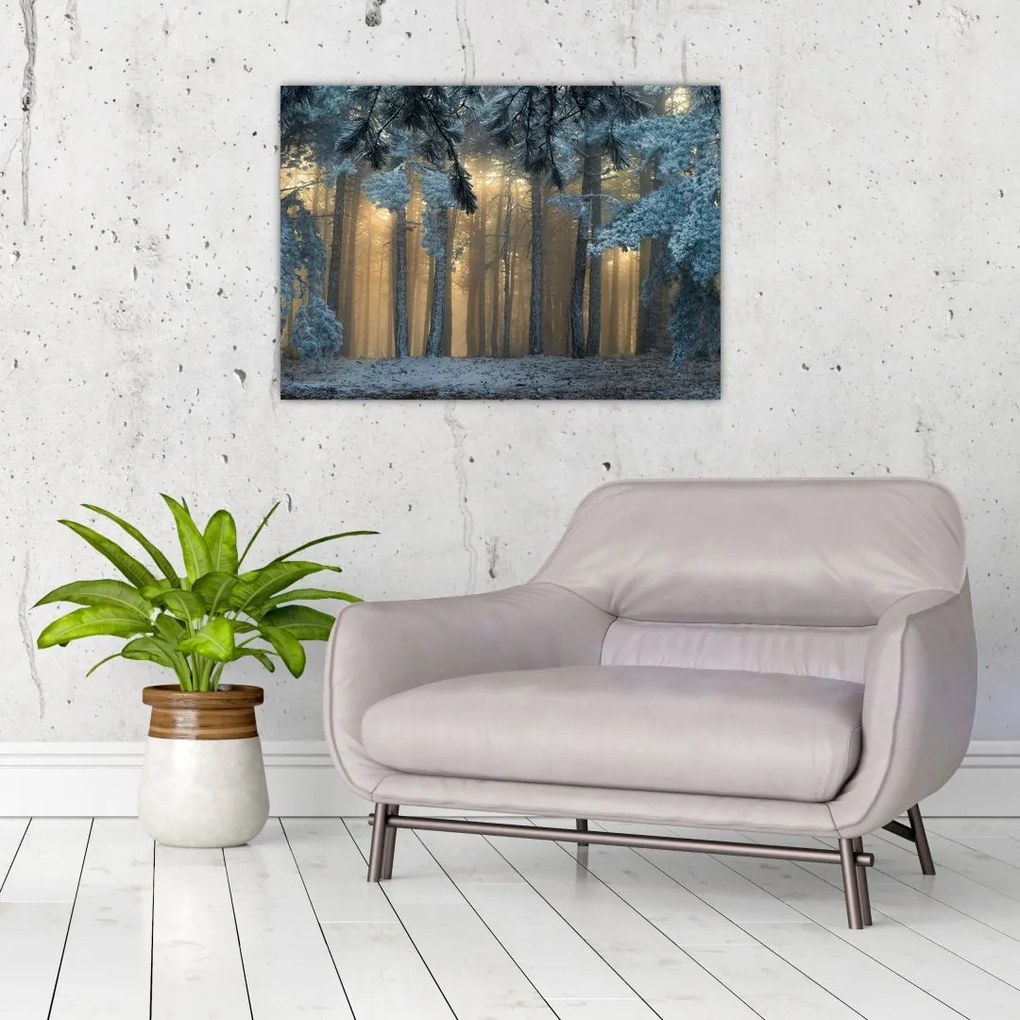 Tablou cu pădure înzăpezită (70x50 cm)