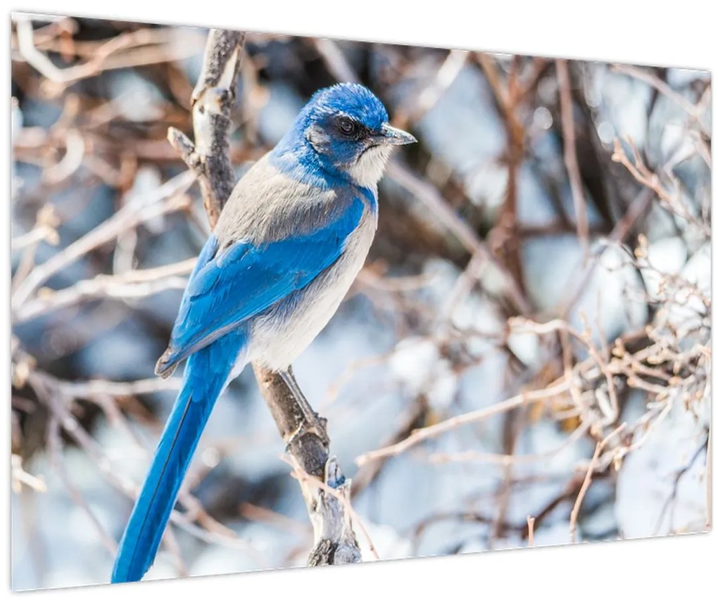 Tablou - Pasare de iarnă (90x60 cm)