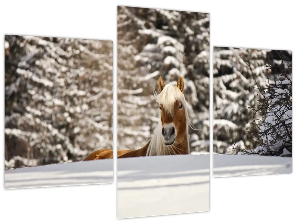 Tablou - Cal în peisaj de iarnă (90x60 cm)
