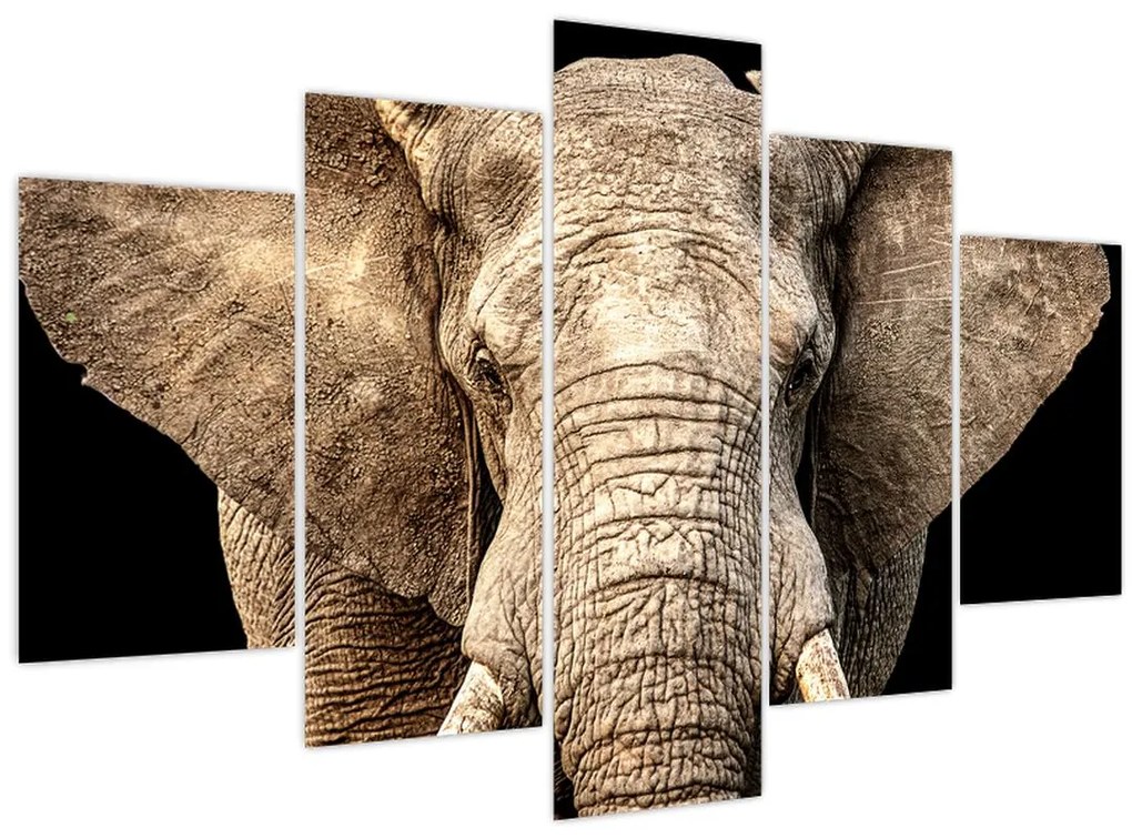 Tablou - Elefant african (150x105 cm)