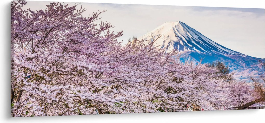 Tablou - Japonia în primăvară (120x50 cm)