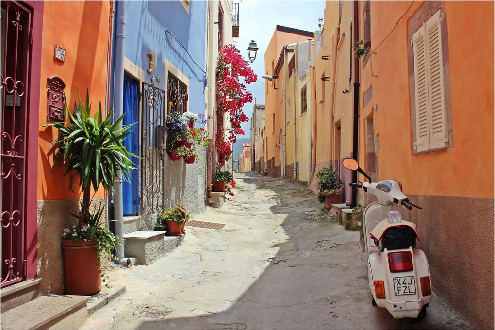 Tablou cu strada din Sardinia (90x60 cm)