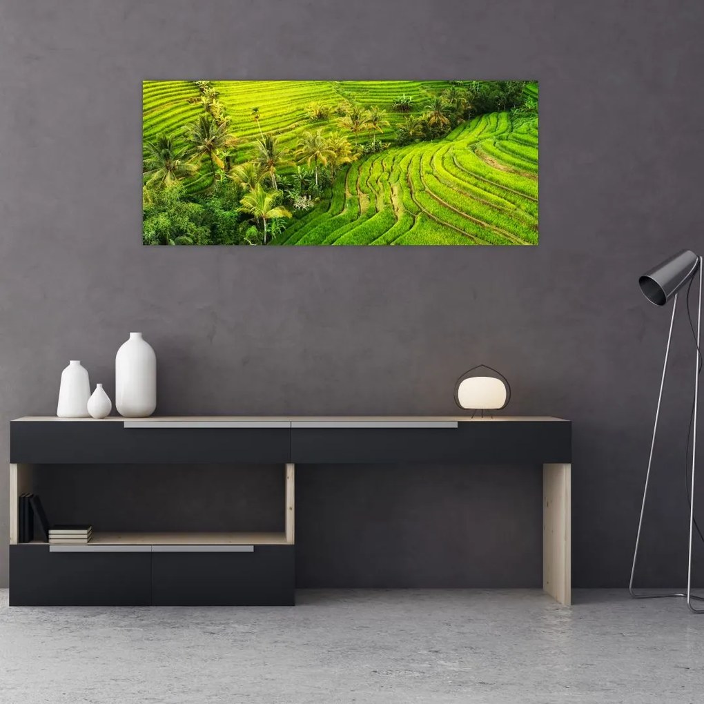 Tablou - Terase de orez (120x50 cm)