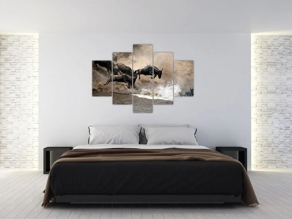 Tablou - Turmă de gnu (150x105 cm)