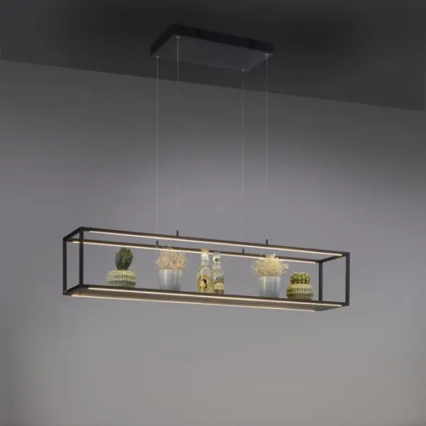 Lustră LED dimabilă pe cablu CONTURA 4xLED/8W/230V Paul Neuhaus 2441-18