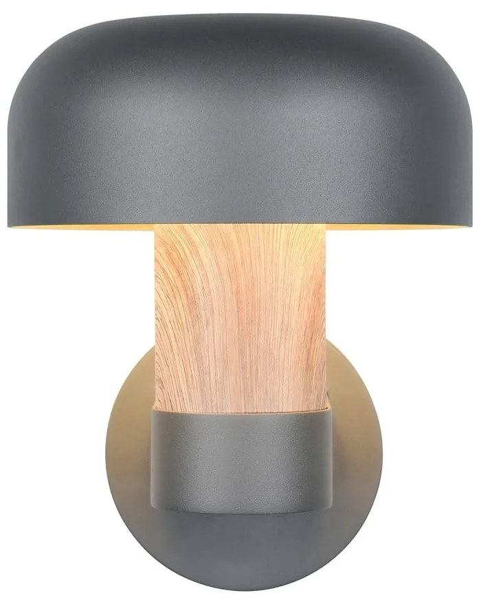 Corp de iluminat pentru exterior, de perete (înălțime 24,5 cm) Fraser – Trio