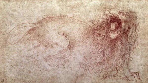 Reproducere Sketch of a roaring lion, Leonardo da Vinci