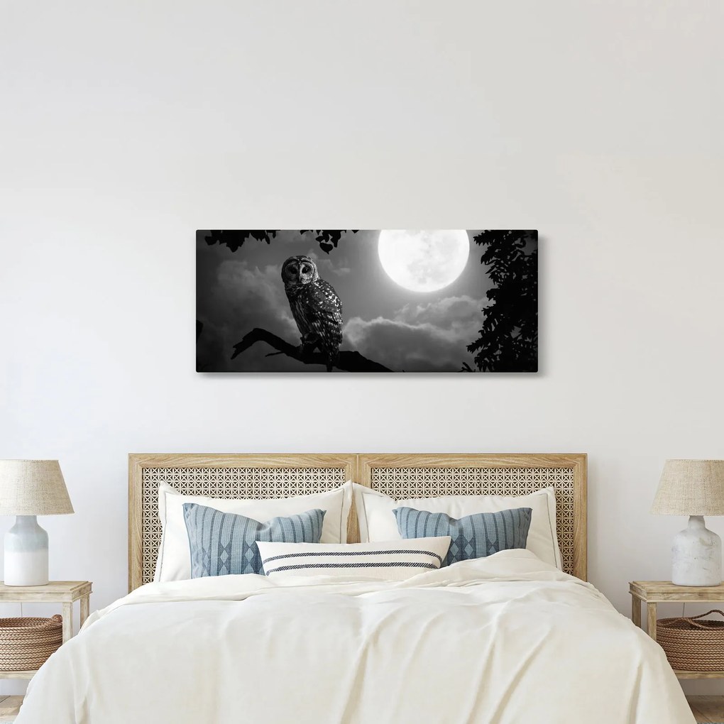 Tablou - Bufniță de noapte, alb și negru (120x50 cm)