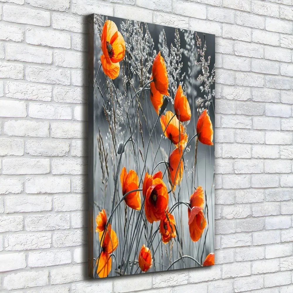 Pictură pe pânză Wildflowers maci