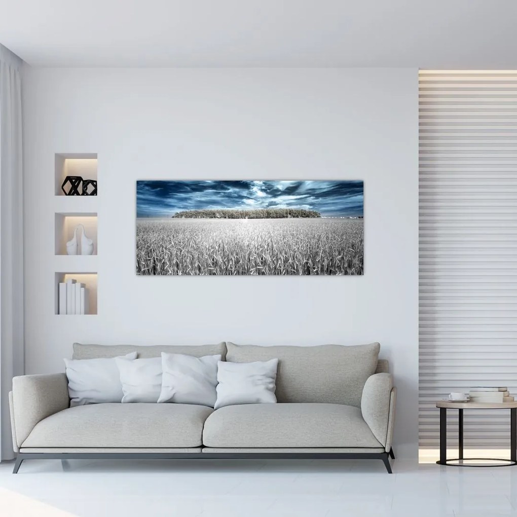 Tablou cu câmp (120x50 cm)
