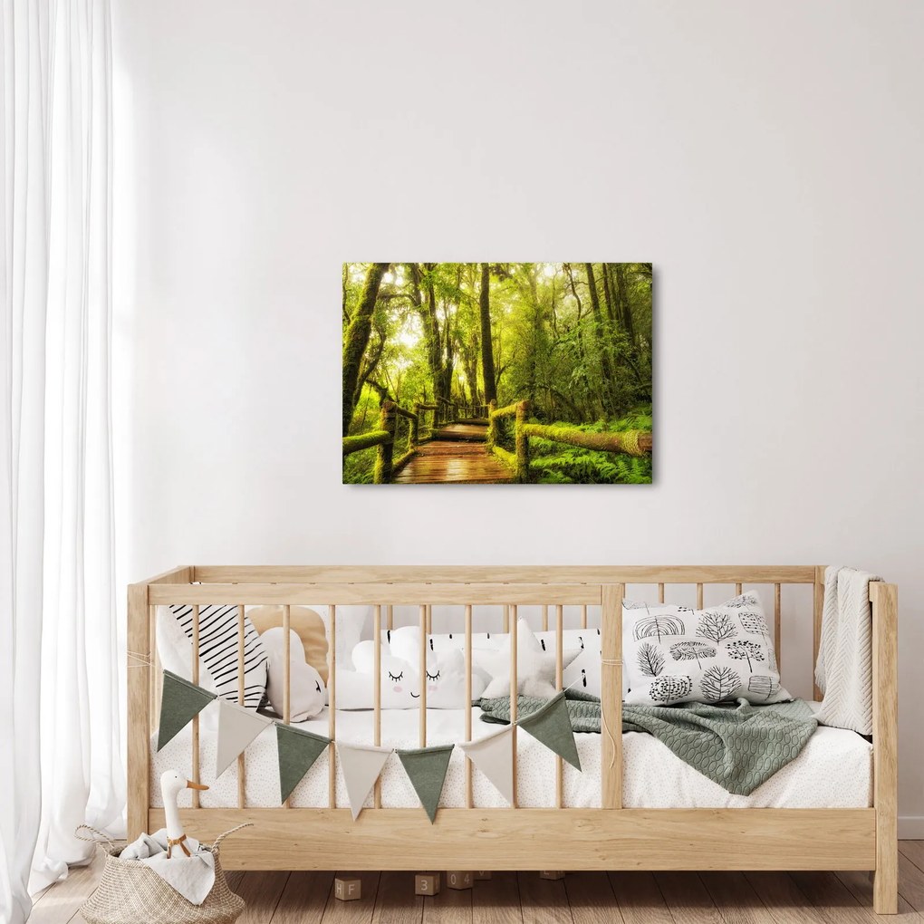 Tablou junglei cu mușchi (70x50 cm)