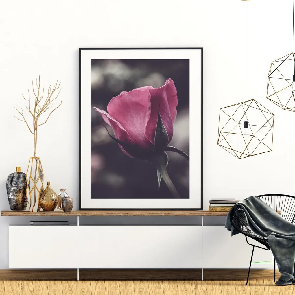 Poster - Floarea de trandafir (A4)