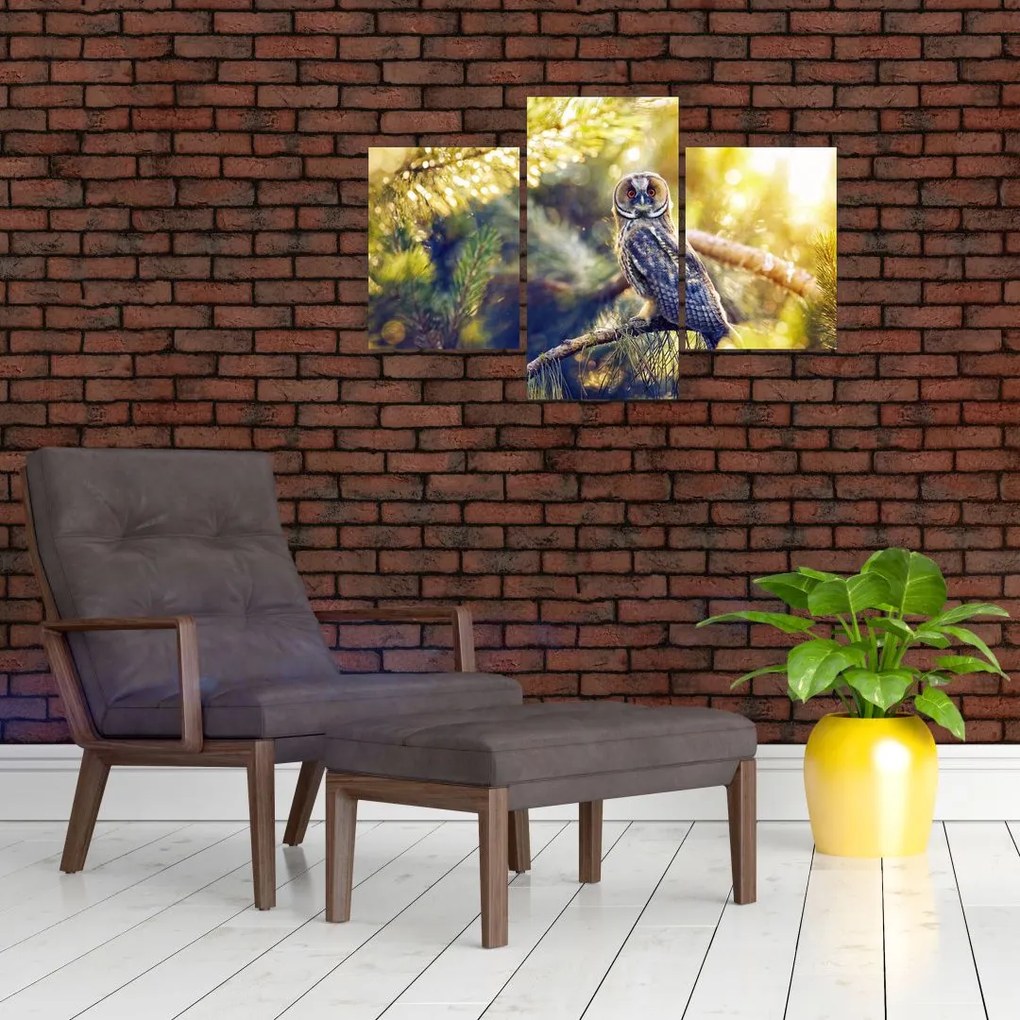 Tablou - Bufniță în copac (90x60 cm)