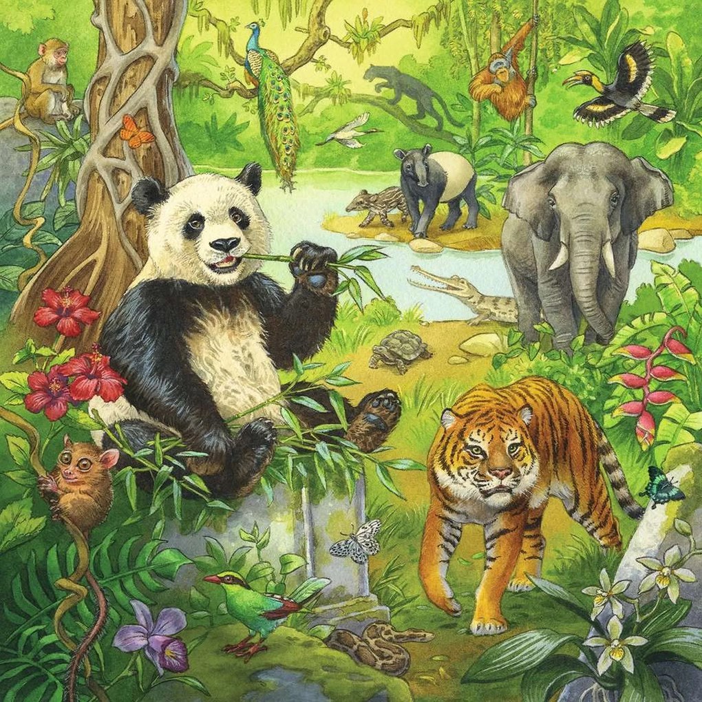 PUZZLE AVENTURI IN JUNGLA, 3X49 PIESE - RAVENSBURGER (05180)