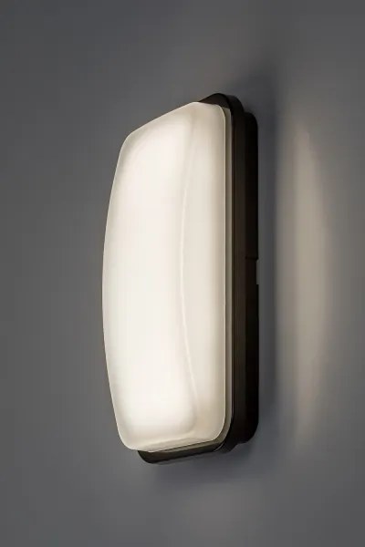 Rabalux 77230 - Aplică LED de exterior pentru perete ORLUN LED/20W/230V 4000K IP65