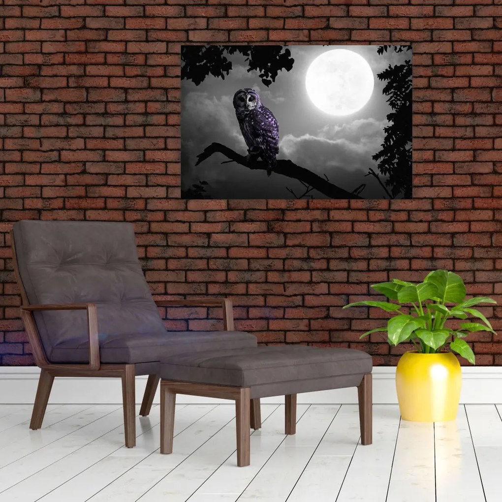 Tablou - Bufniță de noapte, bufniță mov (90x60 cm)