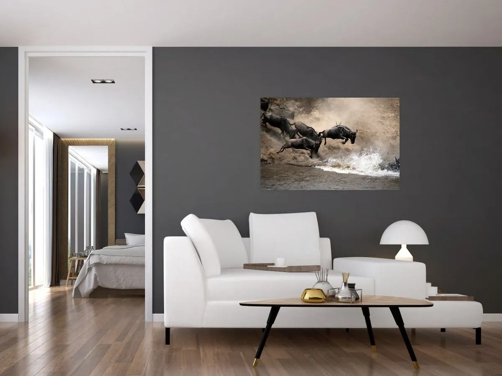 Tablou - Turmă de gnu (90x60 cm)