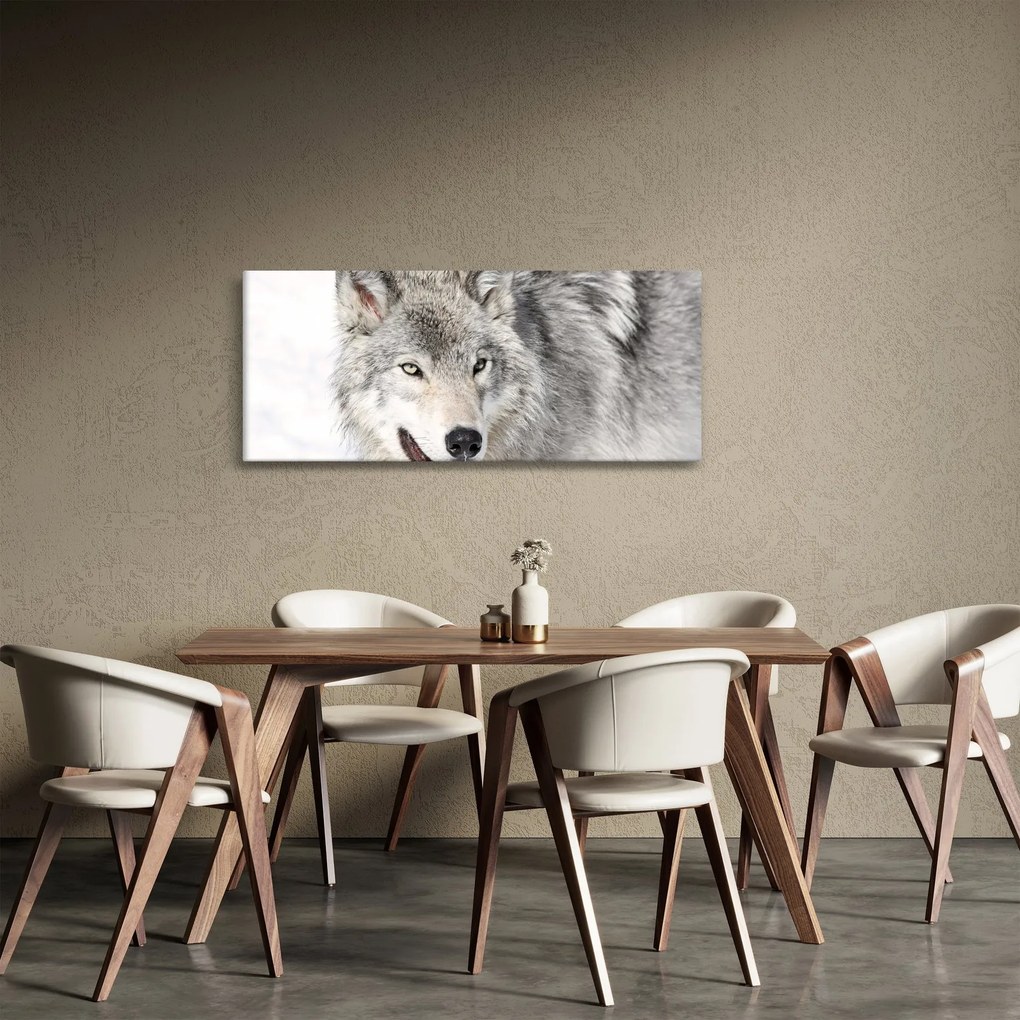 Tablou - Lupul în natură (120x50 cm)