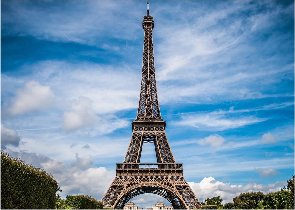 Tablou - Turnul Eiffel (70x50 cm)