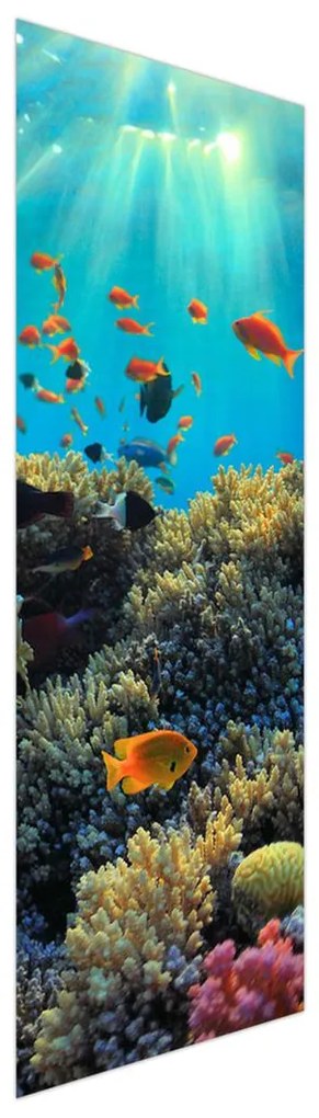 Fotojaluzele R012161R57150 (57x150 cm)