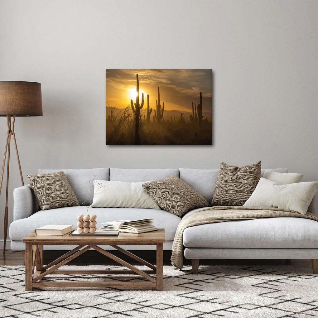 Tablou - Cactuși Saguaro (70x50 cm)