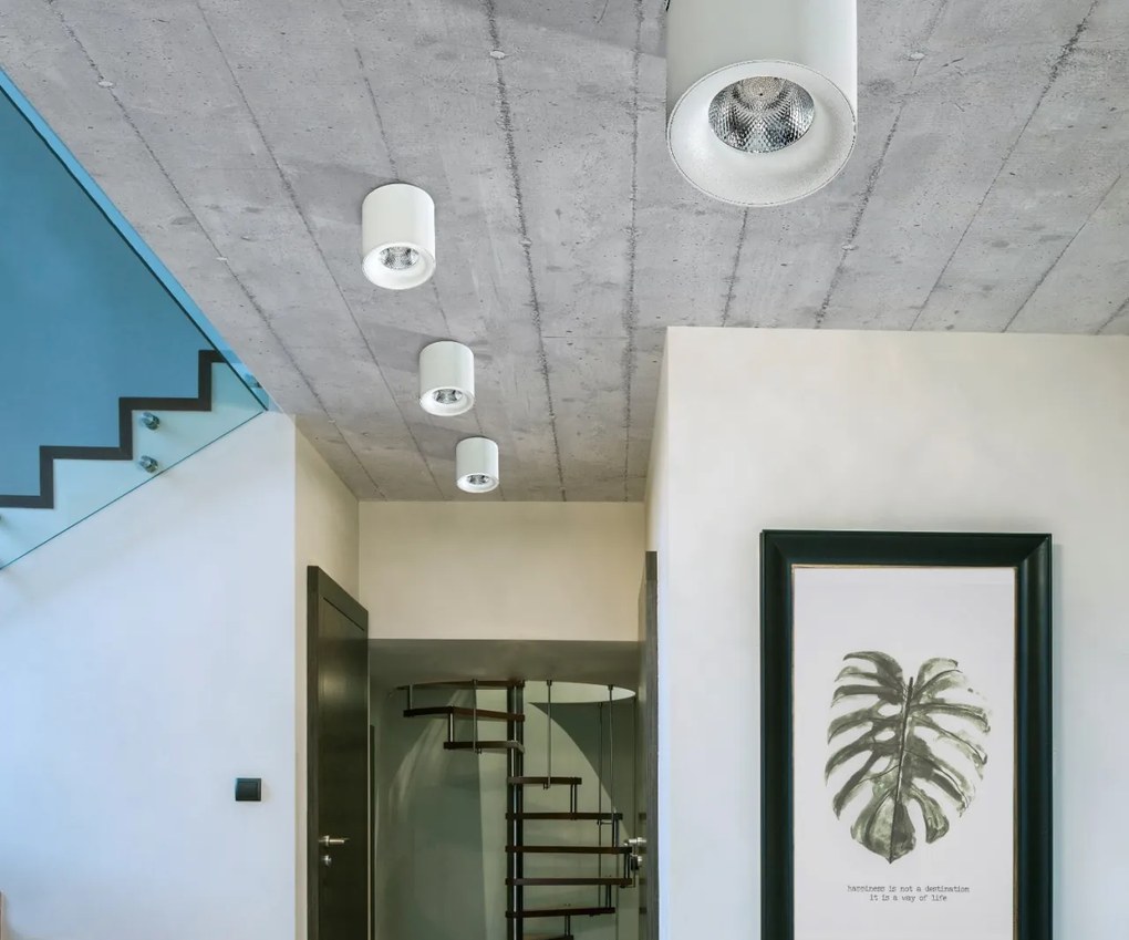 Spot LED aplicat tavan/plafon MANE alb