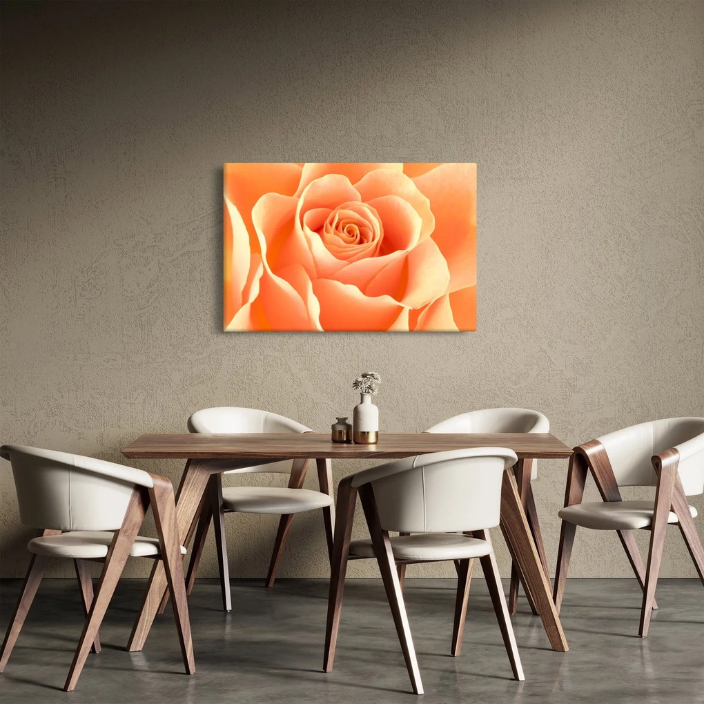 Tablou - Imaginea- Trandafiri, culoarea caisei (90x60 cm)