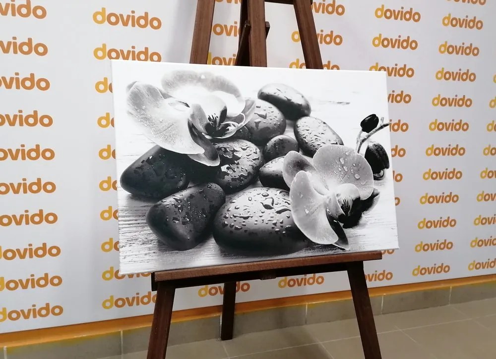 Tablou interacțiunea frumoasă a pietrelor și orhideelor în design alb-negru